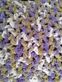 Close up Luxe Lounging Blanket in Lilac Blush