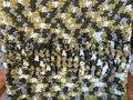 Luxe Statement Blanket in Forest Sage