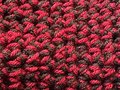 Out and About Bag in Cranberry Swirl